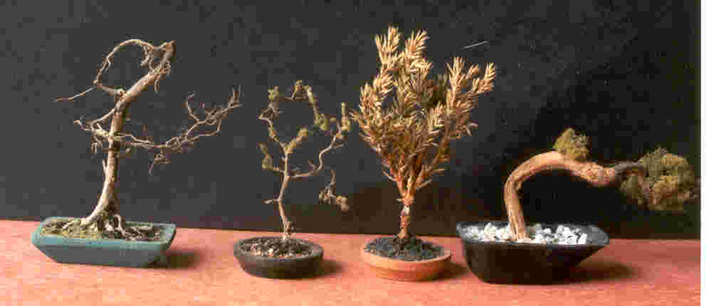 hand made miniature bonsai trees